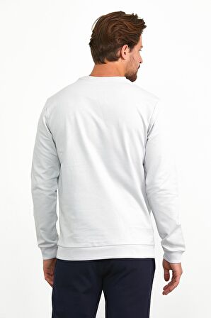 Erkek Basic Günlük Bisiklet Yaka Sweatshirt Gri