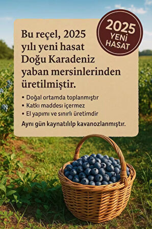 Ev Yapımı Yaban Mersini Reçeli 350g – Katkısız & Geleneksel Üretim