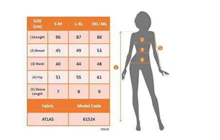 Kadın Kısa Gül Detaylı Kollu Bisiklet Yaka Cepli Mini Atlas Elbise