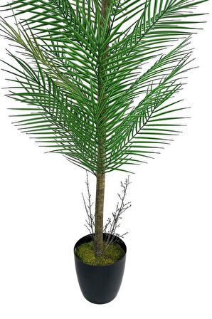 Yapay Ağaç Palmiye 155*50Cm 30Yaprak Areka Ağacı Siyah Saksıda Tek Gövdeli