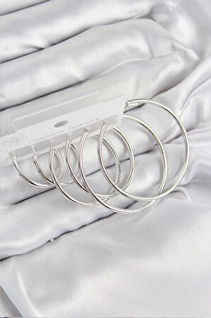 Pirinç Halka Model Gümüş Renk Kadın Set Küpe