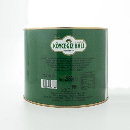 Köyceğiz Balı Çam Balı 2850 G Teneke