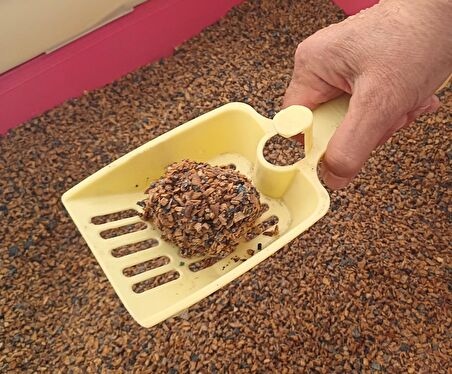 Ceviz Kabuğundan Yapılmış Doğal Kedi Kumu 2'li; Aktif Karbonlu, %100 Organik