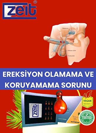 Aktif Ozon Yağı Kapsülleri: Kapsamlı Erektil Sağlık Desteği Erkek Sağlığı için Devrim Niteliğinde Doğal Destek Erektil disfonksiyonu ele almak ve hafifletmek için titizlikle tasarlanmış, özellikle yaşlanan erkekler ve diyabet yöneten bireyler için fa