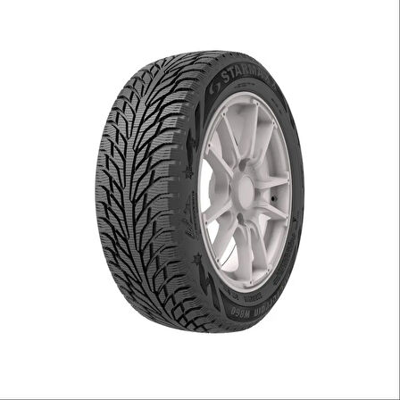 225/50R17 STARMAXX 98T REINF. ARCTERRAIN W860 STARMAXX