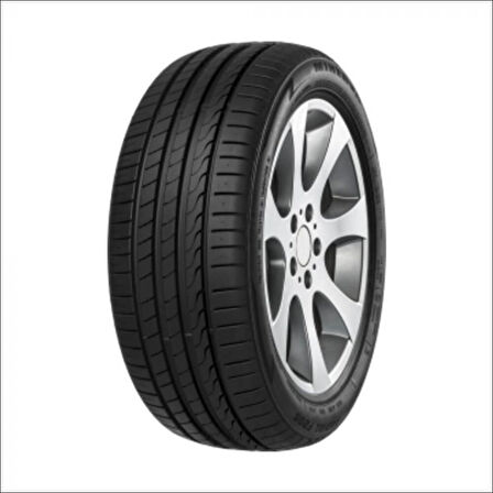 245/50R18 104W XL F205 MINERVA