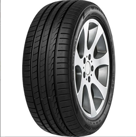 255/55R20 110W XL Eco Speed 2 SUV MINERVA