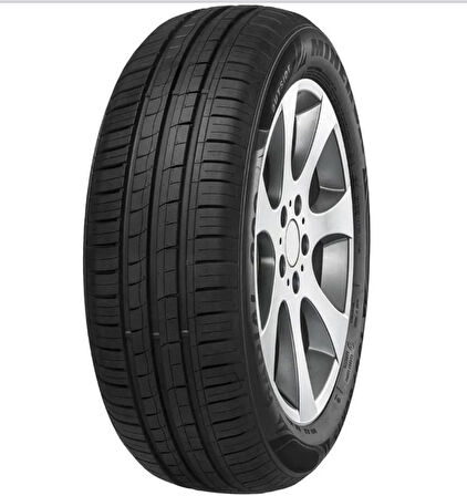 145/60R13 66T 209 MINERVA