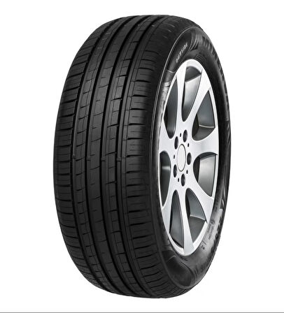 215/65R15 96H F209 MINERVA