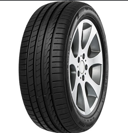 195/45R17 85W XL F205 MINERVA
