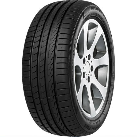245/40R19 98Y XL F205 MINERVA