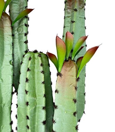 Yapay Çiçek Kaktüs Ağacı 4kollu Kızıl Yapraklı 70*22cm 4027