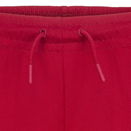 Jordan Essentıals Graphıc Mesh Sh Şort