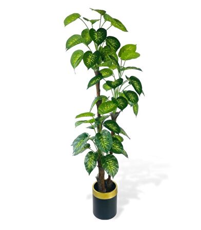 Yapay Çiçek Difenbahya Sarı Yeşil 3Katlı 190cm 54Yaprak Gold Kemerli Siyah Saksıda Yapay Bitki