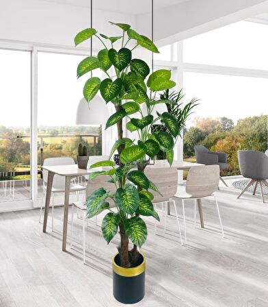 Yapay Çiçek Difenbahya Sarı Yeşil 3Katlı 190cm 54Yaprak Gold Kemerli Siyah Saksıda Yapay Bitki