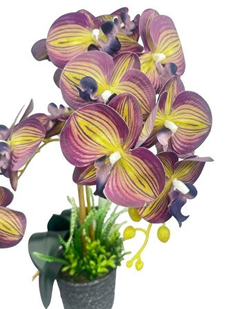 Yapay Çiçek 2li Mor Sarı Çizgili Islak Orkide Seramik Saksıda Orkide 60cm