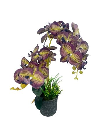 Yapay Çiçek 2li Mor Sarı Çizgili Islak Orkide Seramik Saksıda Orkide 60cm