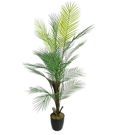 Yapay Ağaç Areka Ağacı Palmiye Ağacı Salon Bitkisi Doğal Palmiye Lifi Gövde 130 cm 20 Yaprak