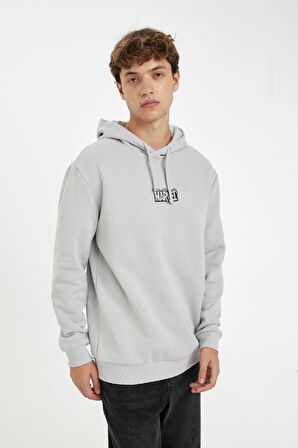 DeFacto Marvel Logo Only Regular Fit Kapüşonlu Sweatshirt C6513AX24AUGR184