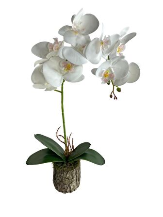 Yapay Çiçek Kütük Saksılı Tekdal Islak Orkide Beyaz 50*30cm