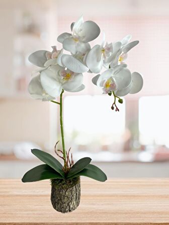 Yapay Çiçek Kütük Saksılı Tekdal Islak Orkide Beyaz 50*30cm