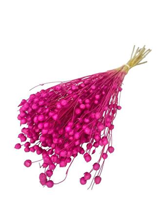 Kuru Çiçek Doğal Luna Otu Koyu Pembe Renk 40-50gram 1. Kalite Linum Keten Otu Şoklanmış Bozulmaz