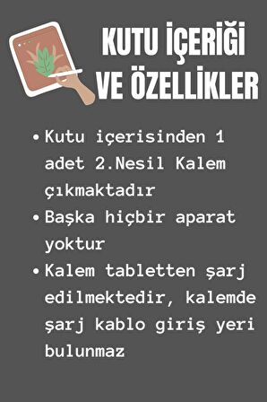 Pencil 2. Nesil Ipad Kalemi 2 Gen