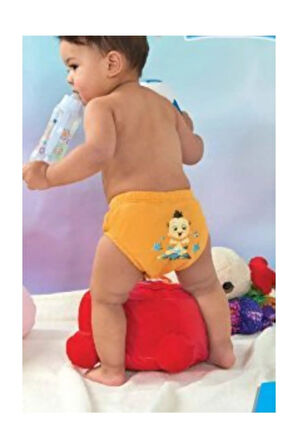 Erkek Bebek Alıştırma Külodu 3'lü