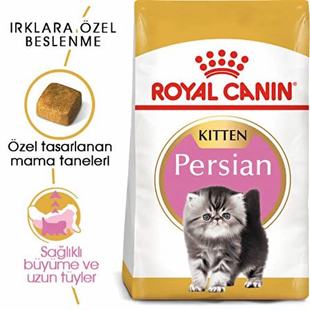 Royal Canin Kitten Persian Yavru İran Kedisi Maması 2 kg