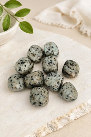 Kivi Jasper Doğal Taş 1 Adet 30 Gr – Kiwi Jasper Tamburlanmış Enerji ve Koleksiyon Taşı