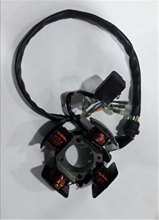 Motospartan Statör 4'lü Agk 125 Cg125 Cg 100 Asya Haojın