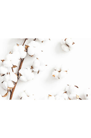 United Colors of Benetton Kadın Gri Kazak Model Kodu: 123A1002D4488