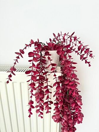 Yapay Çiçek Saksıda Sarkan Şimşir Bordo Okaliptus Yapay Sarmaşık Pastel 60cm