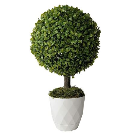 Yapay Ağaç Şimşir Top Tek Toplu 28cmx50cm 