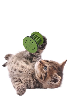 İpek Yıldızı®  Mini Silindir Eğlenceli Renkli Sağlam Küçük Pati İzi Şekilli Kedi Oyuncağı