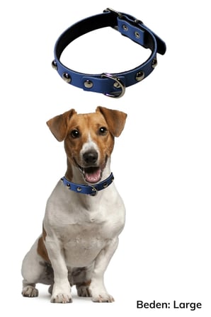 İpek Yıldızı® Yumuşak Dokulu Deri Köpek Gezdirme Boyun Tasması (Large)