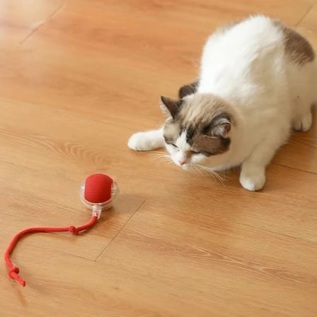 İpek Yıldızı® Şarjlı Otomatik Hareketli Kedi Köpek İçin 360 Derece Dönen İnteraktif Akıllı Oyun Topu