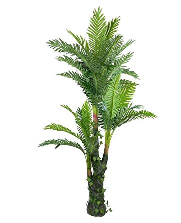 Yapay Ağaç Areka Palmiye 165*90 Doğal Gövdeli 36 Yaprak