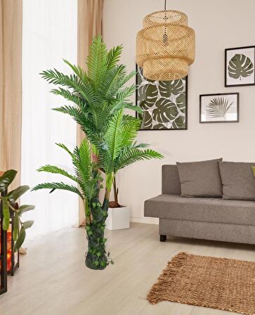 Yapay Ağaç Areka Palmiye 165*90 Doğal Gövdeli 36 Yaprak