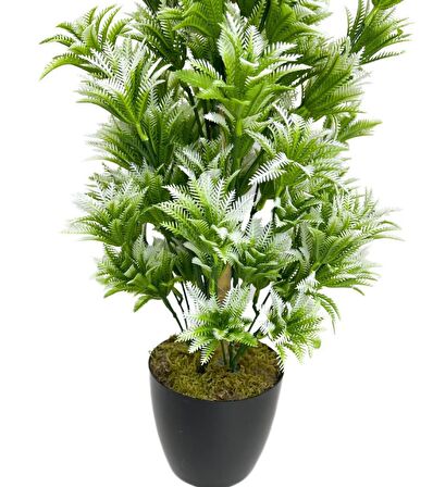 Yapay Çiçek Siyah Saksıda Yeşil Beyaz Sıkas Ağacı 55cm