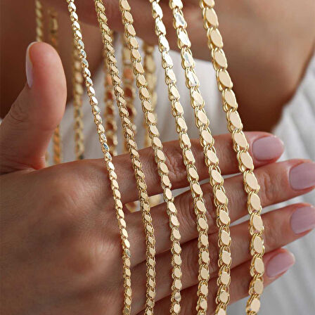 Type 1  Pullu Zincir