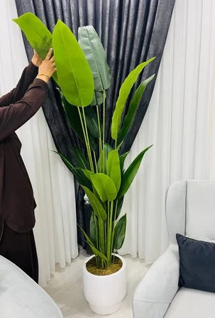 2 Metre Beyaz Fiber Saksılı Starliçe Ağacı