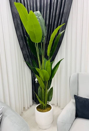 2 Metre Beyaz Fiber Saksılı Starliçe Ağacı