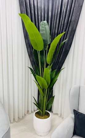 2 Metre Beyaz Fiber Saksılı Starliçe Ağacı
