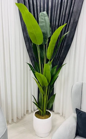 2 Metre Beyaz Fiber Saksılı Starliçe Ağacı