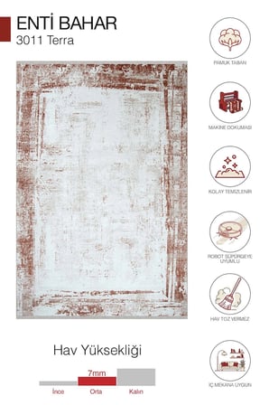 Hoom Rugs Bahar 3011 Terra Bordürlü Akrilik Halı