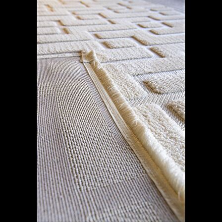 Hoom Rugs Indus 8006 Krem İskandinav Halı