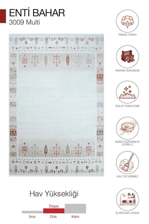 Hoom Rugs Bahar 3009 Multi Etnik Bordürlü Akrilik Halı