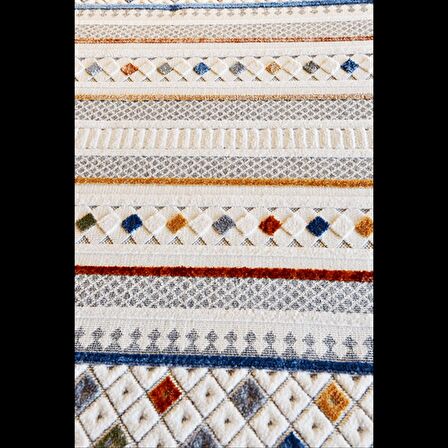 Hoom Rugs Polo 7801 Multi İskandinav Halı