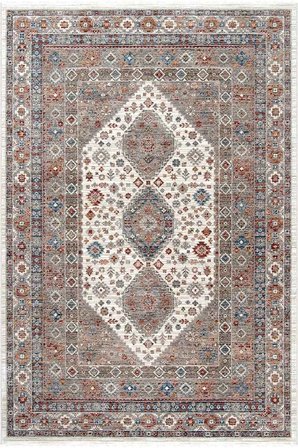 Hoom Rugs Otantik 2602 Renkli Vintage Desenli Salon Halısı